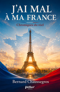 Image de J'ai mal à ma France