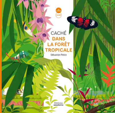 Image de Caché dans la forêt tropicale