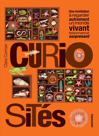 Picture of Curiosités
