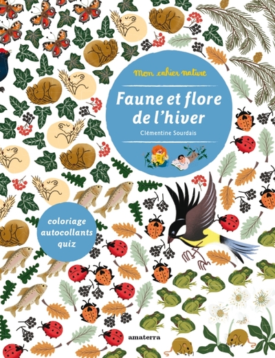 Image de Faune et flore de l'hiver