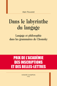 Image de Dans le labyrinthe du langage