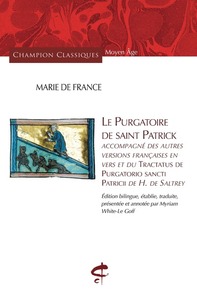 Picture of Le Purgatoire de Saint Patrick
