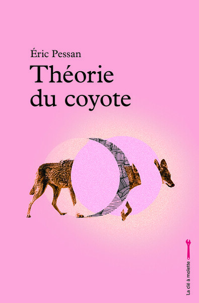 Image de Théorie du coyote