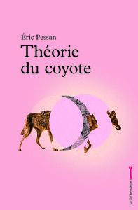Image de Théorie du coyote