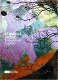 Image de Katharina Grosse Kunsthalle DUsseldorf /anglais/allemand