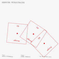 Picture of Herbier miraginaire