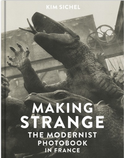 Image de Making Strange