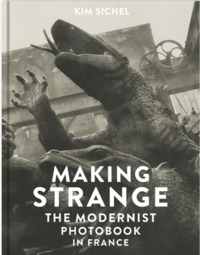 Image de Making Strange