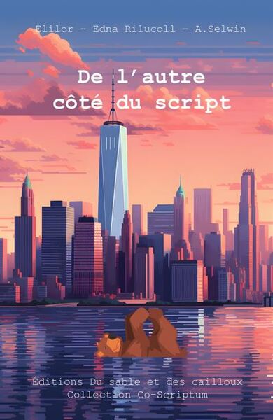 Picture of De l'autre côté du script