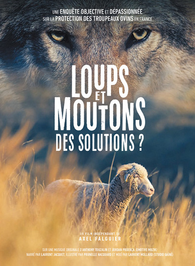 Image de Loups et moutons : des solutions ?