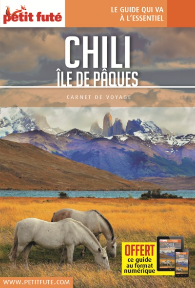 Image de Guide Chili - Île de Pâques 2018 Carnet Petit Futé