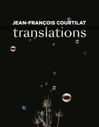 Picture of Translations