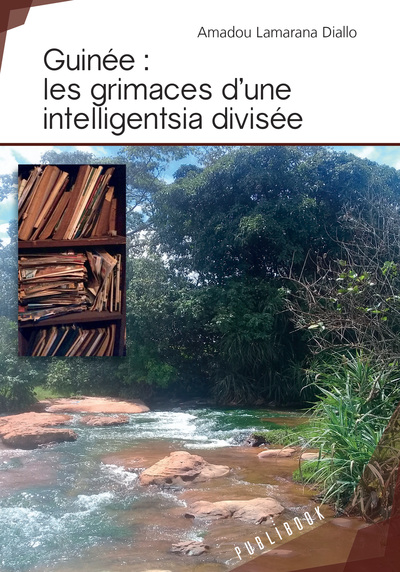 Picture of Guinée - les grimaces d'une intelligentsia divisée