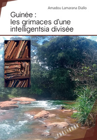 Picture of Guinée - les grimaces d'une intelligentsia divisée