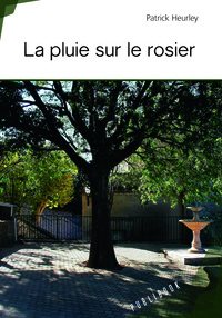 Picture of La pluie sur le rosier