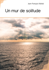 Image de Un mur de solitude