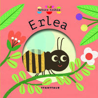Picture of ERLEA