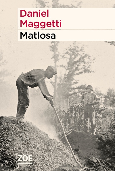 Picture of Matlosa