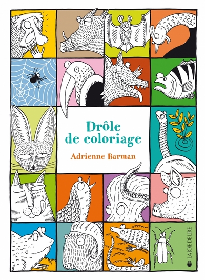 Image de DROLE DE COLORIAGE
