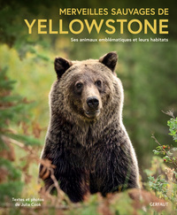 Image de Merveilles sauvages de Yellowstone
