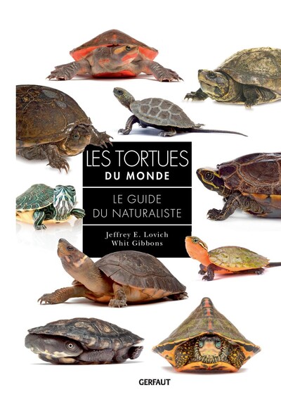 Image de Les tortues du monde