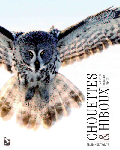 Picture of Chouettes et hiboux