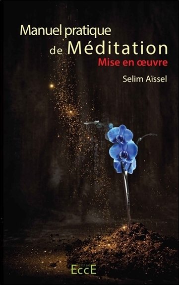 Picture of Manuel pratique de Méditation - Mise en oeuvre