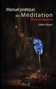 Picture of Manuel pratique de Méditation - Mise en oeuvre