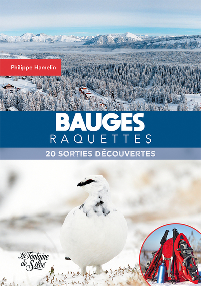 Image de Bauges raquettes