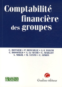 Picture of comptabilité financière des groupes