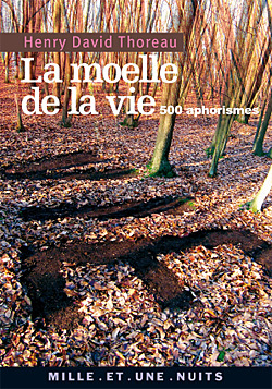Picture of La Moelle de la vie