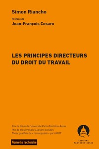 Picture of Les principes directeurs du droit du travail