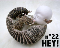 Picture of HEY ! N22