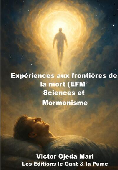 Picture of Expériences aux frontières de la mort