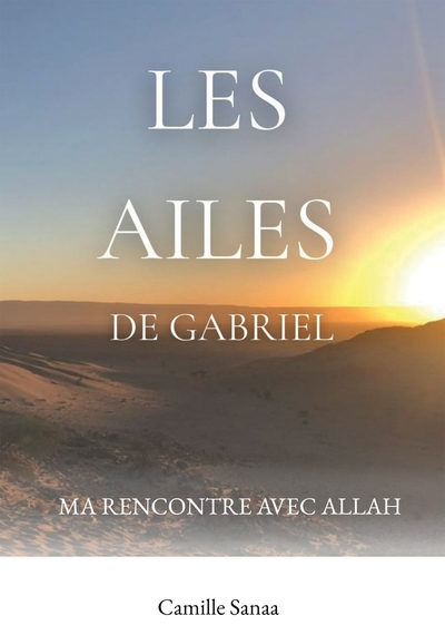 Image de Les ailes de Gabriel