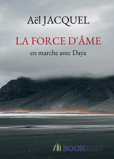 Image de LA FORCE D'ÂME
