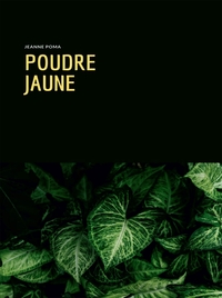 Image de Poudre jaune