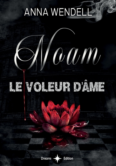 Picture of Noam - Le voleur d'âme