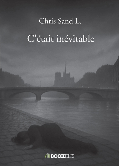 Picture of C'était inévitable