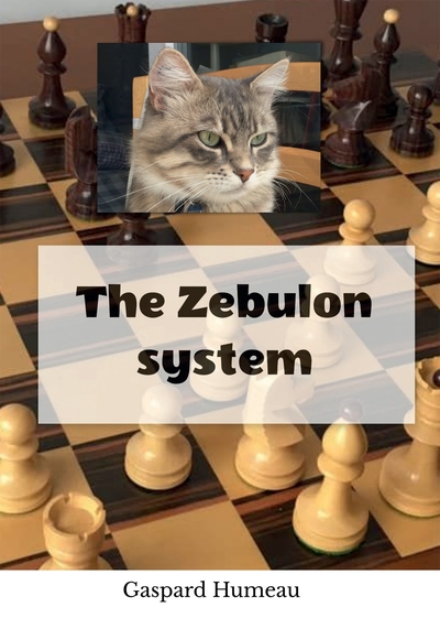 Picture of The Zebulon system