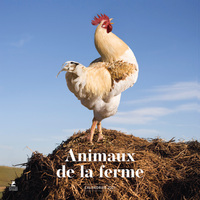 Picture of Calendrier 2027 animaux de la ferme