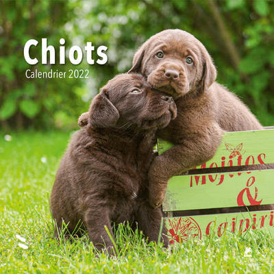 Picture of Chiots - Calendrier 2022