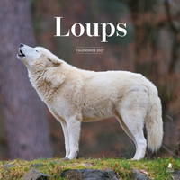 Picture of Calendrier 2027 loups