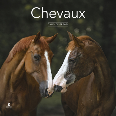 Image de Calendrier 2026 - Chevaux