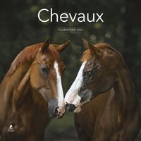 Image de Calendrier 2026 - Chevaux