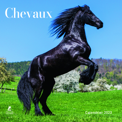 Picture of Chevaux - Calendrier 2023