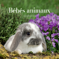 Picture of Calendrier bébés animaux 2024