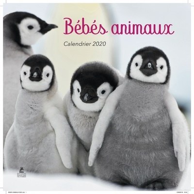 Image de Calendrier Bébés Animaux 2020