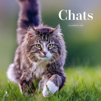 Picture of Calendrier 2027 chats