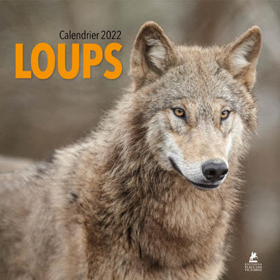 Picture of Loups - Calendrier 2022